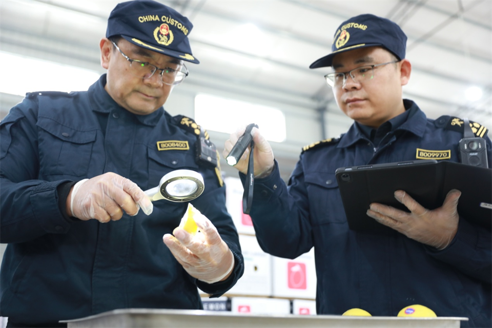 重庆铜梁柠檬实现首次出口