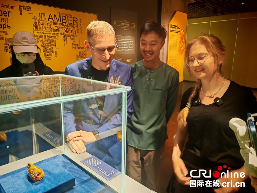 “豫”见故乡琥珀之光 波兰女孩动情点赞“Amazing”_fororder_微信图片_20250729100844